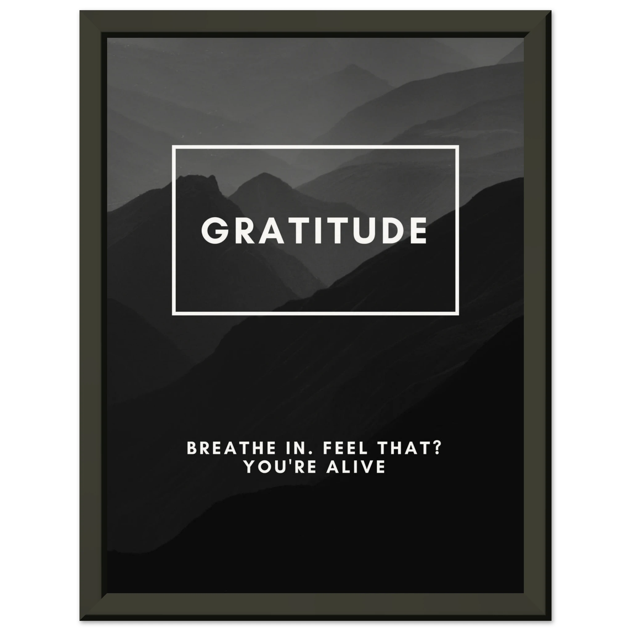 02ee3c66-cb75-4dda-bbfa-f3a06f0f5909