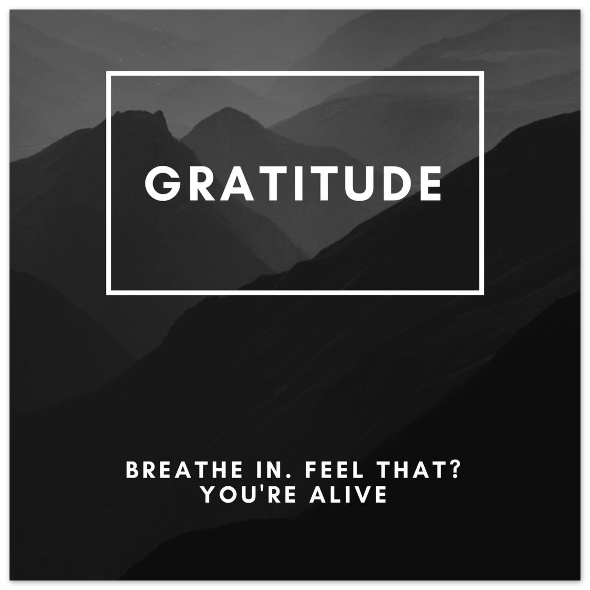 178243d9-f49c-4776-ba97-b7e5babc5d1e