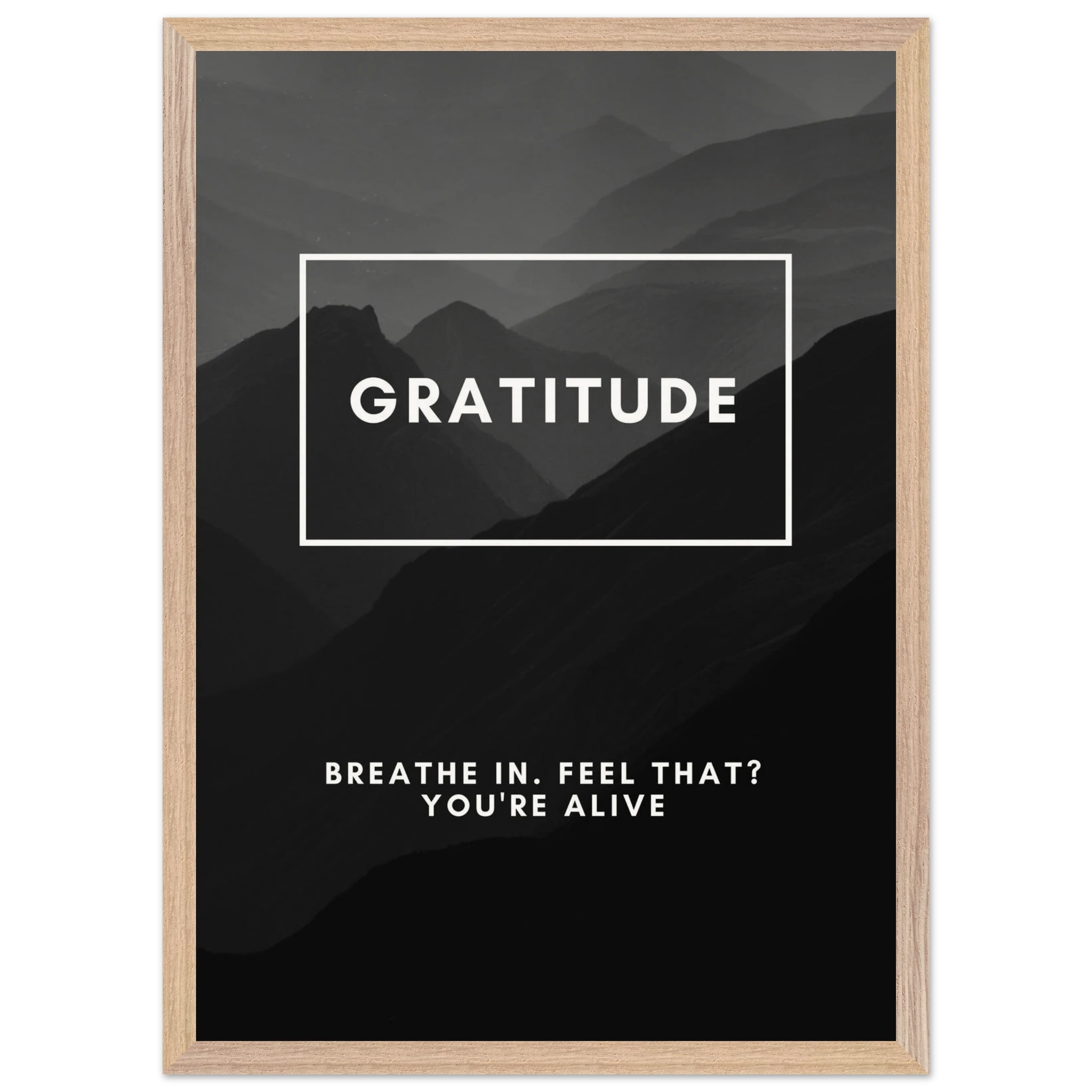 1d3f1915-e0ba-4ef5-b944-c637a7fd81cb