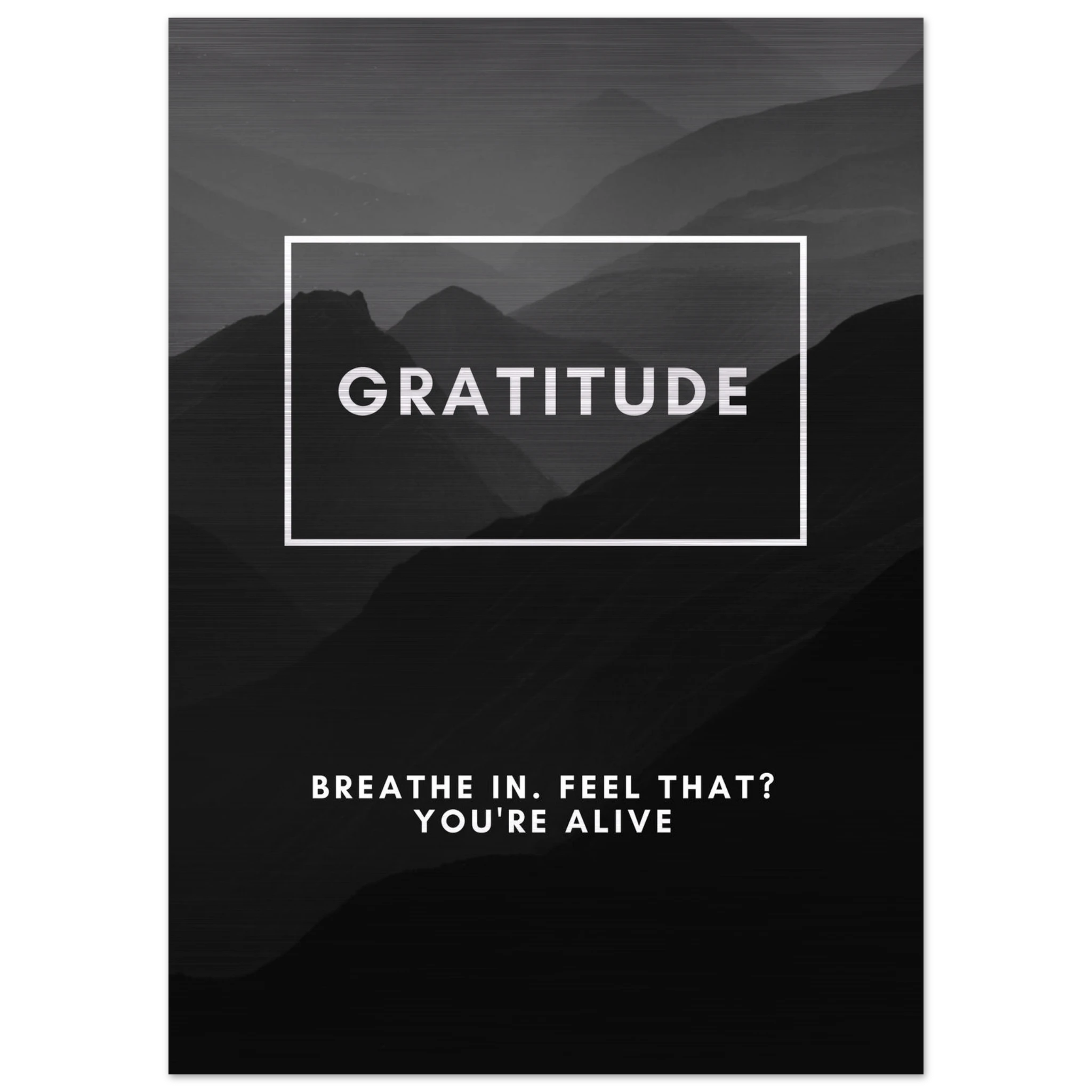 227336ed-c25d-4bdc-a036-5ffdb20b537a