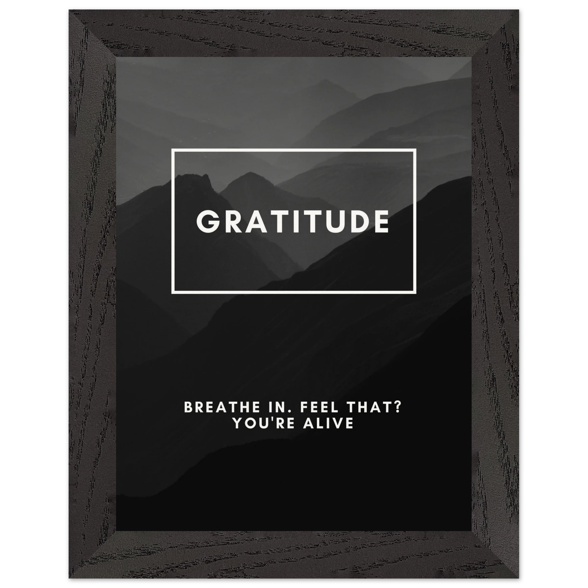 4590d175-518e-4421-ba9e-fd65e09f048c