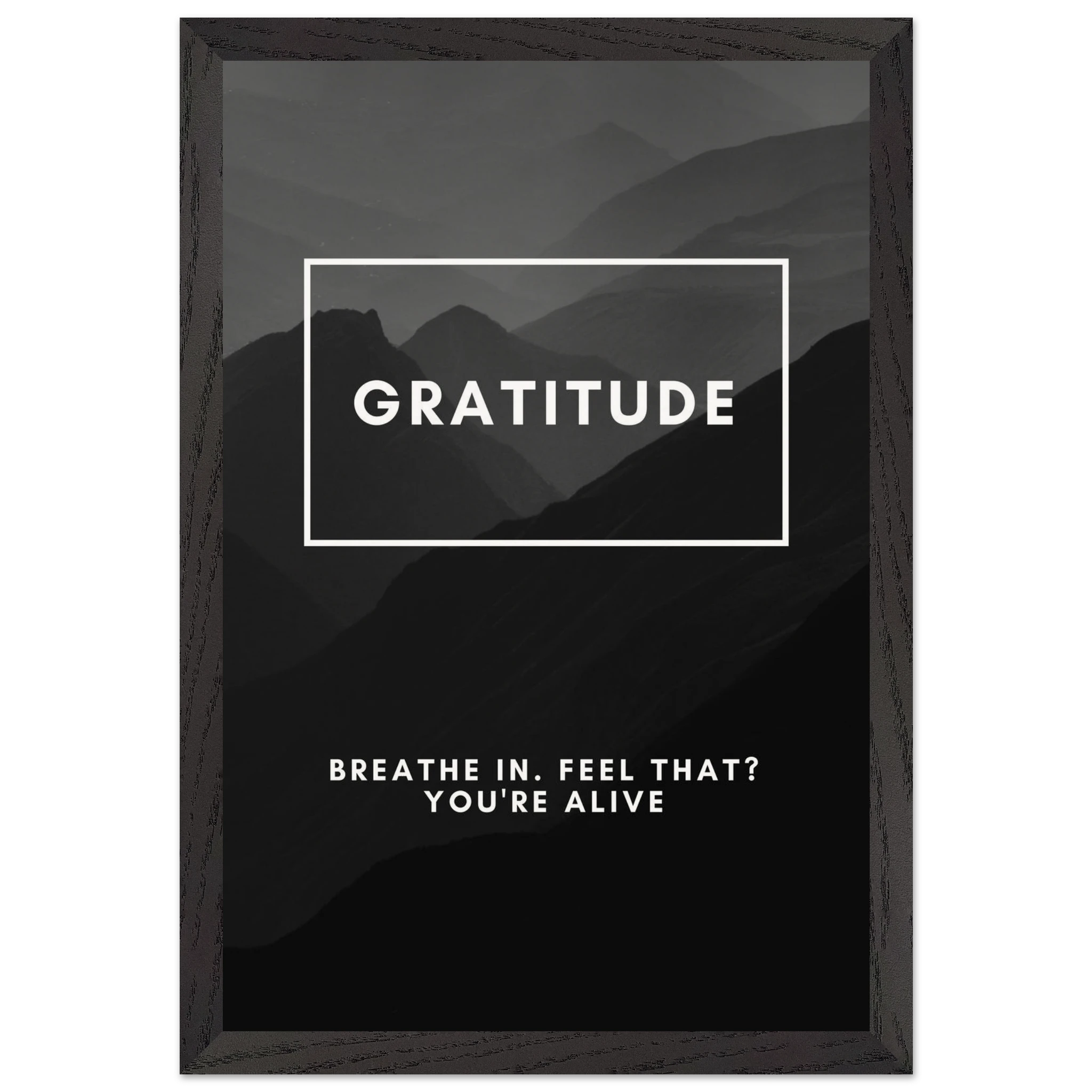 49f85afb-16ea-4aa4-ac32-b105584a26b0