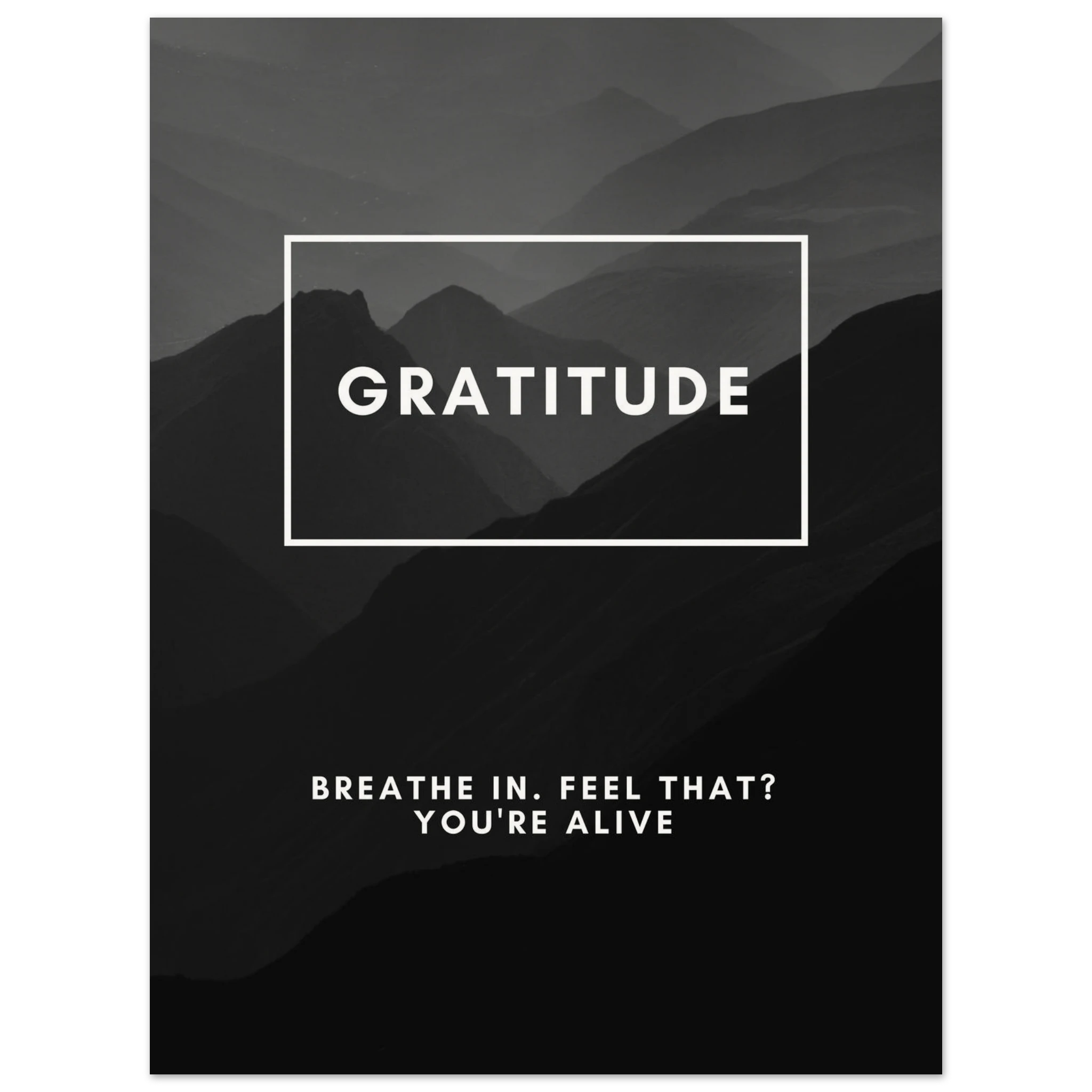 5438b423-2255-4456-b6df-96a9ebe6d37d