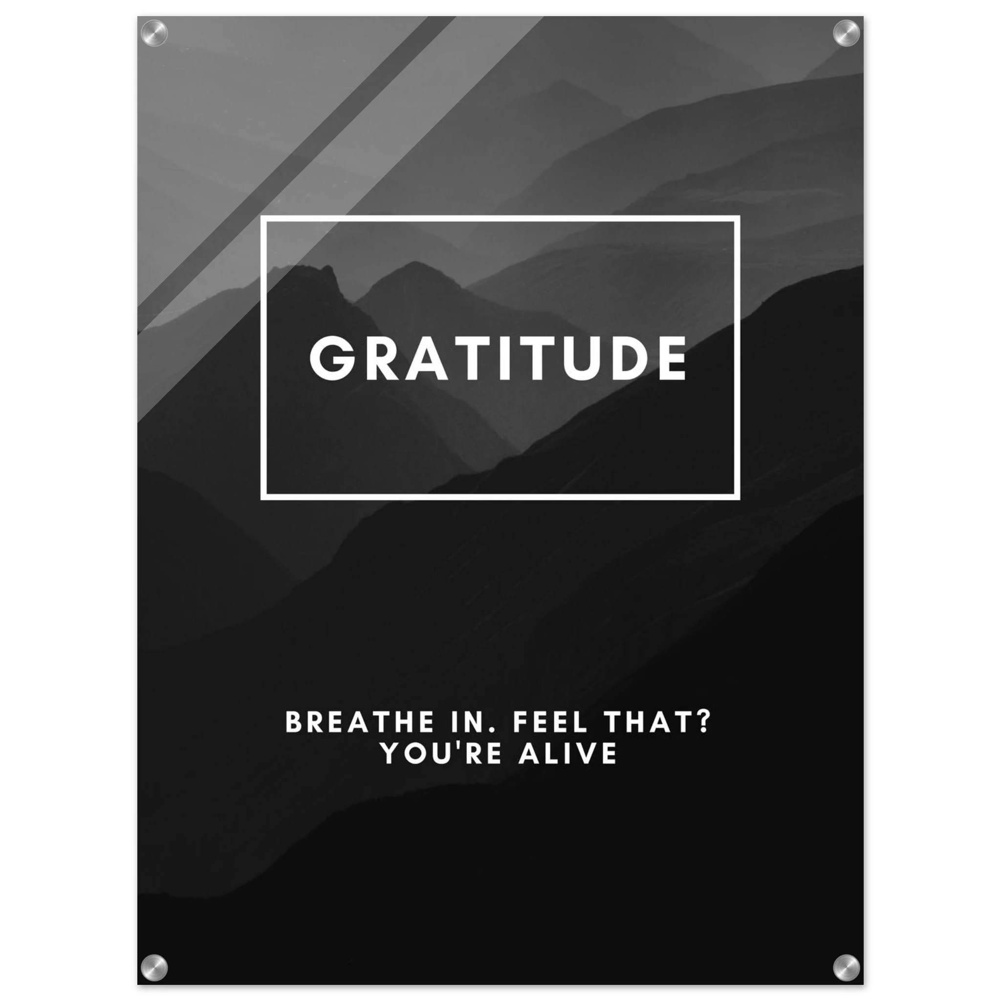 5944085d-737a-4b6c-9675-dbfee99b08e5