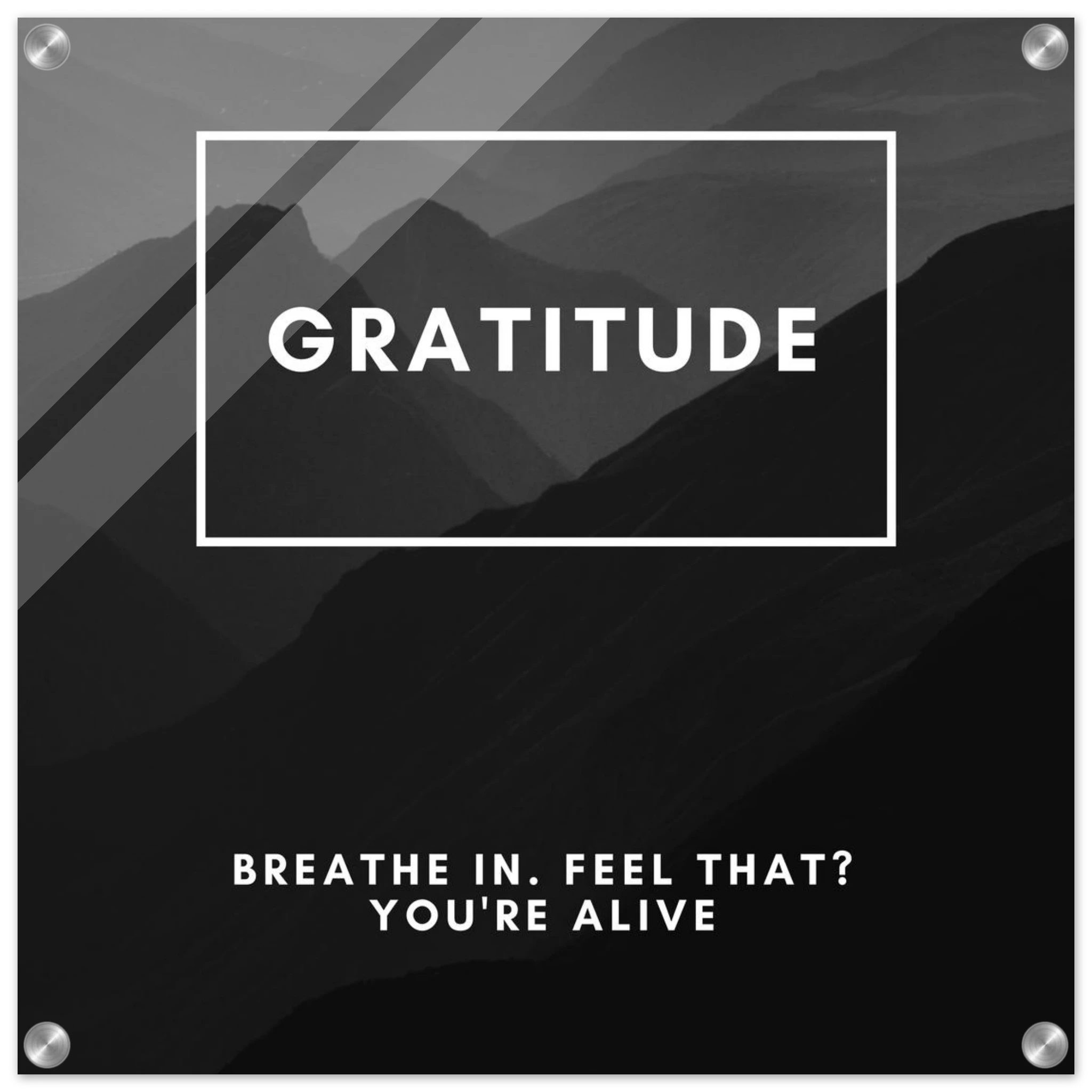 5d496aac-f5a3-4743-b148-7dc8e1e28e02