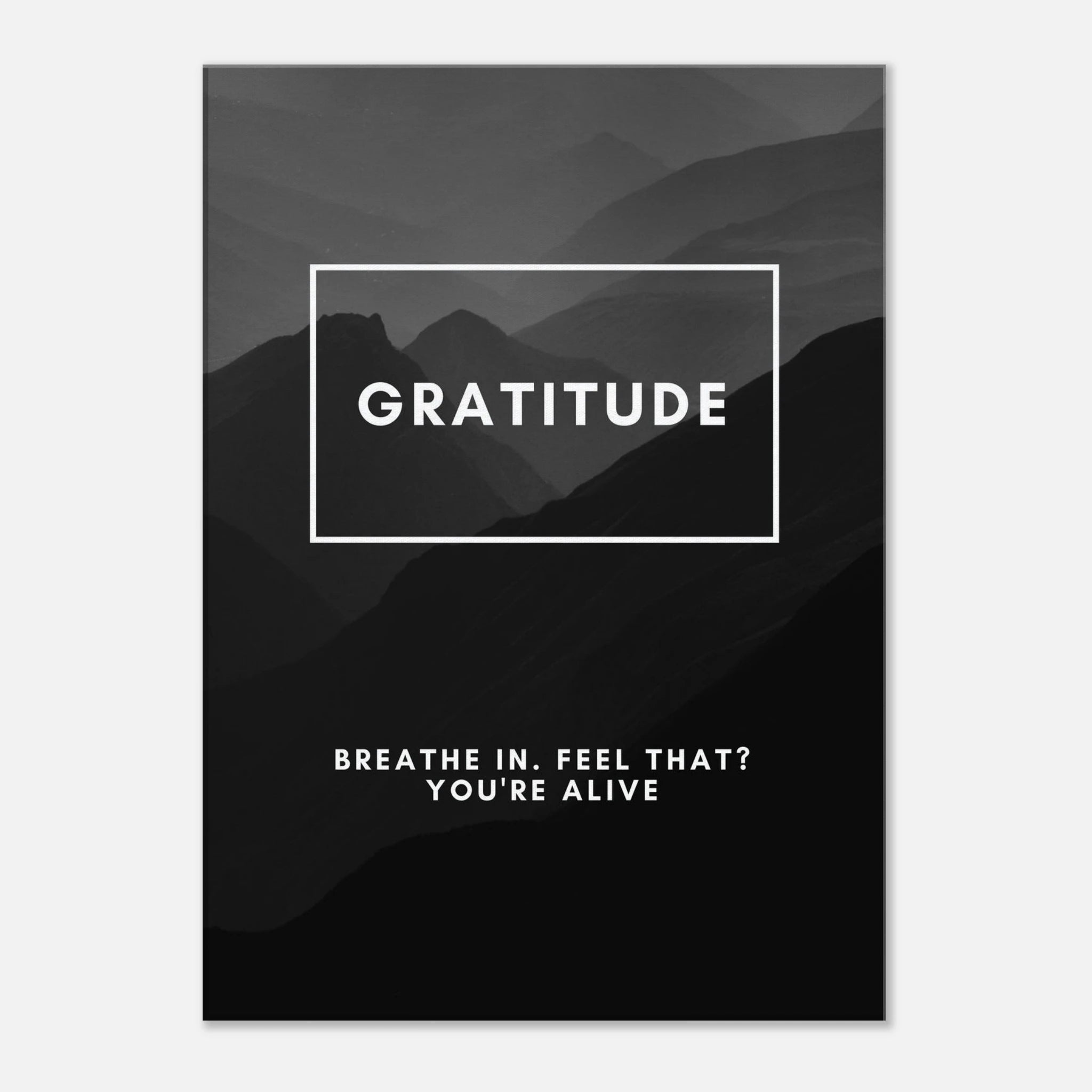 5e4113dc-21b3-450c-8029-2e5f3cfac44c