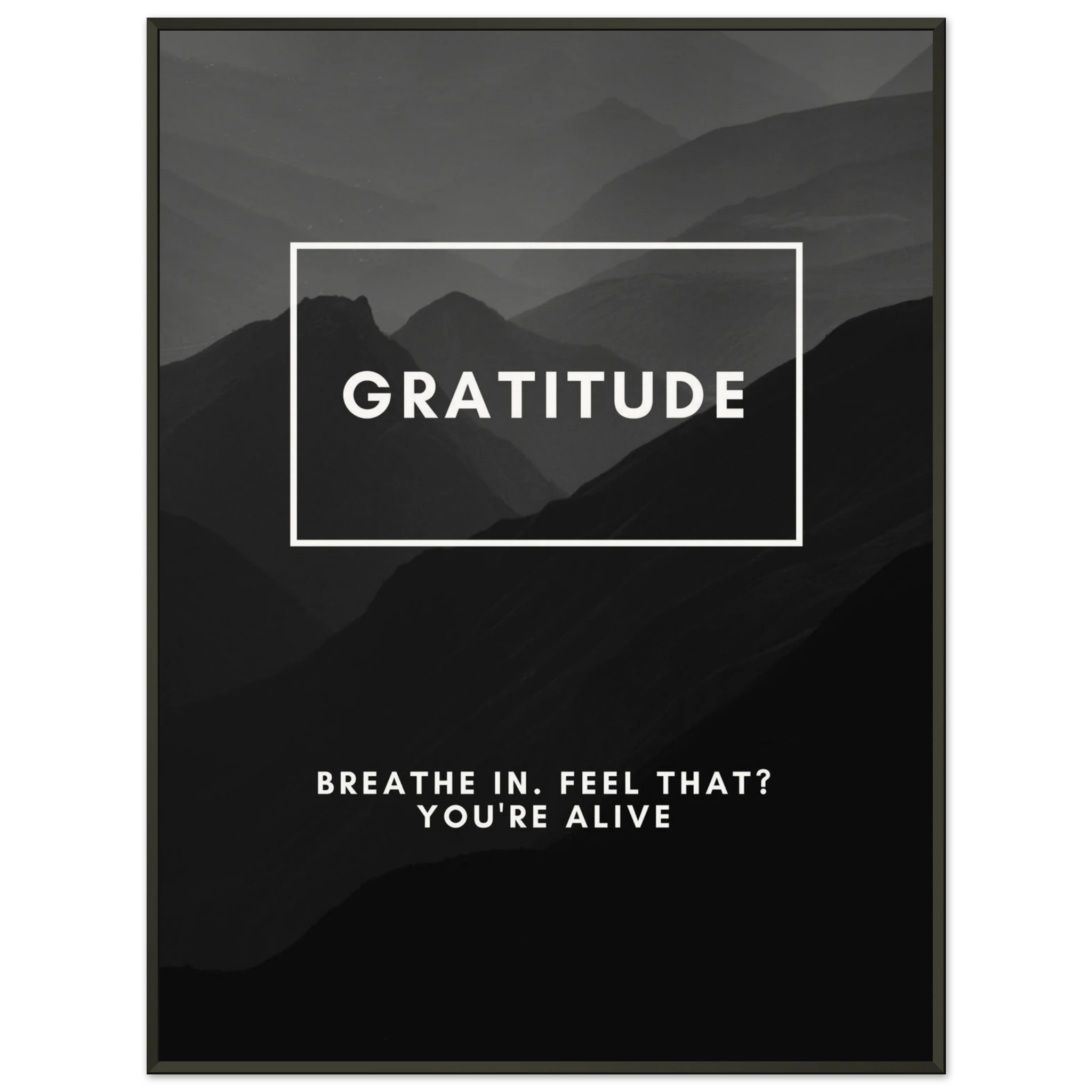 6e84b1c8-5c12-4c4e-8eee-b16b218b43cc