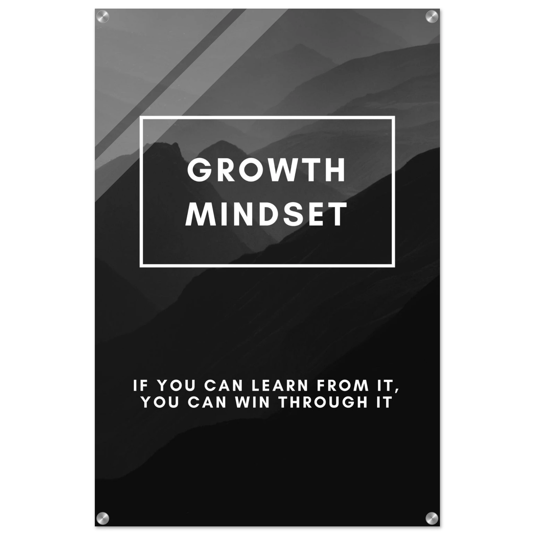 77989d1f-c4fa-41d1-8342-38b0c3ad5216