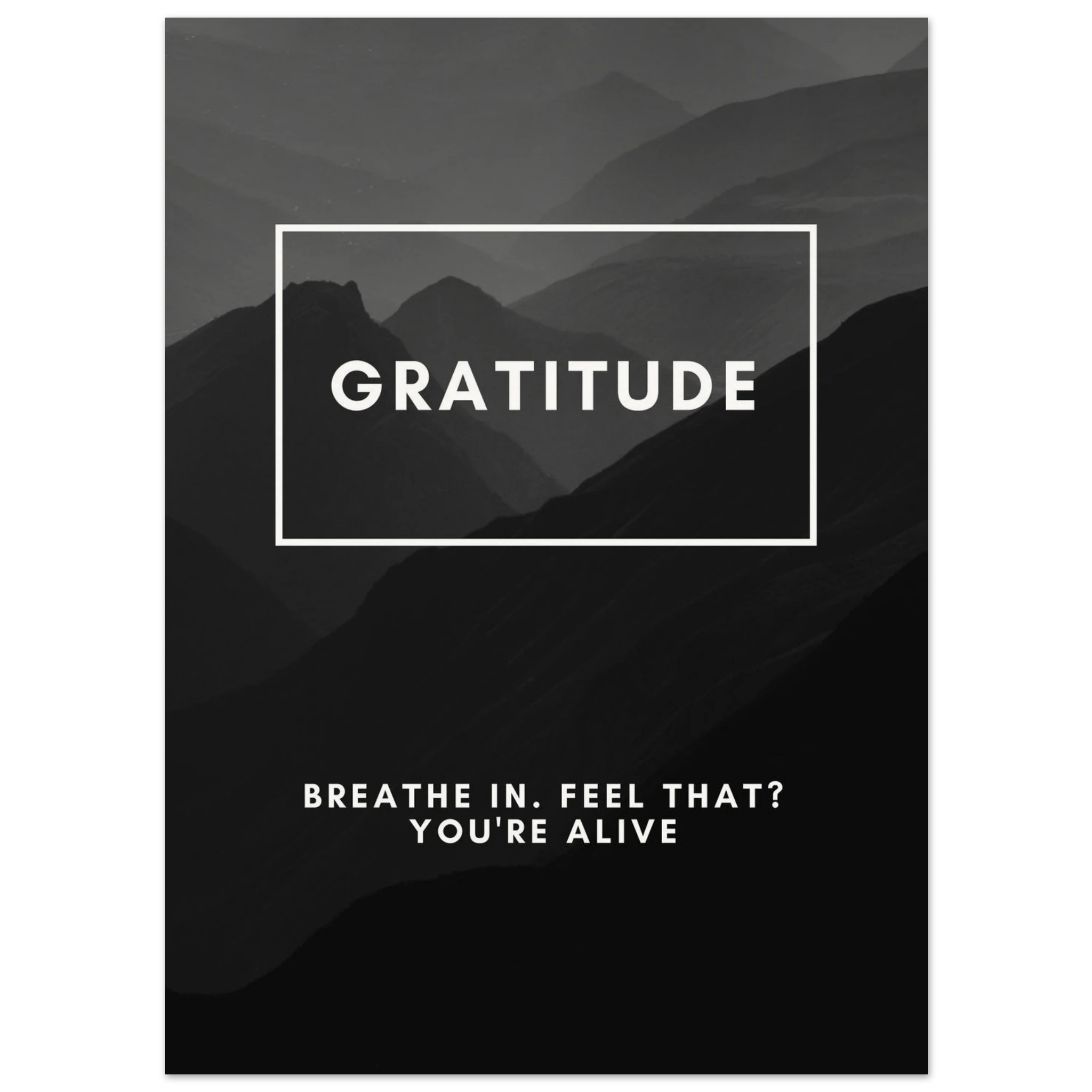 833b558c-1aad-4587-98de-8cb6220d1f8b