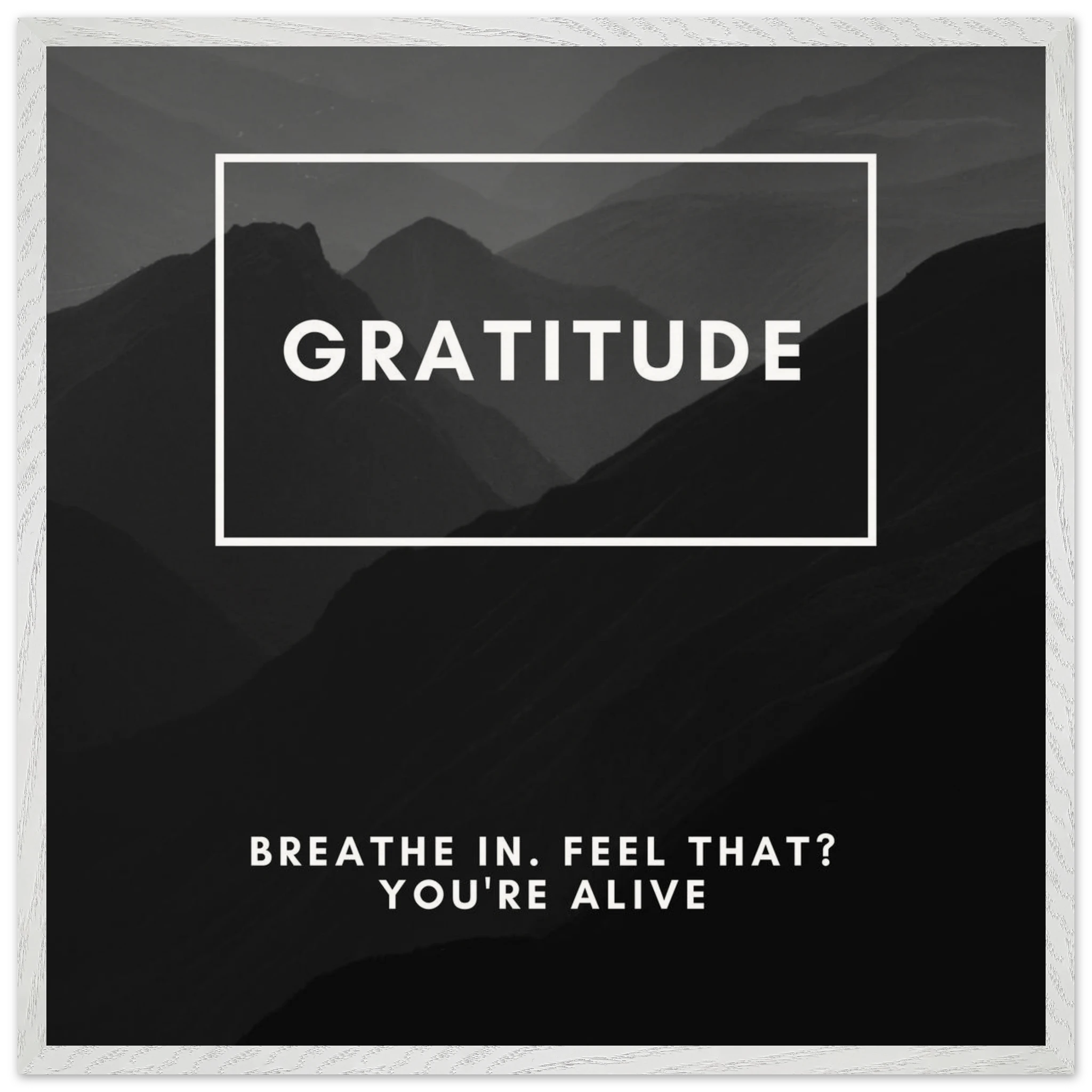 86cdfd78-a67f-4478-9d1d-70d5c8b7910e