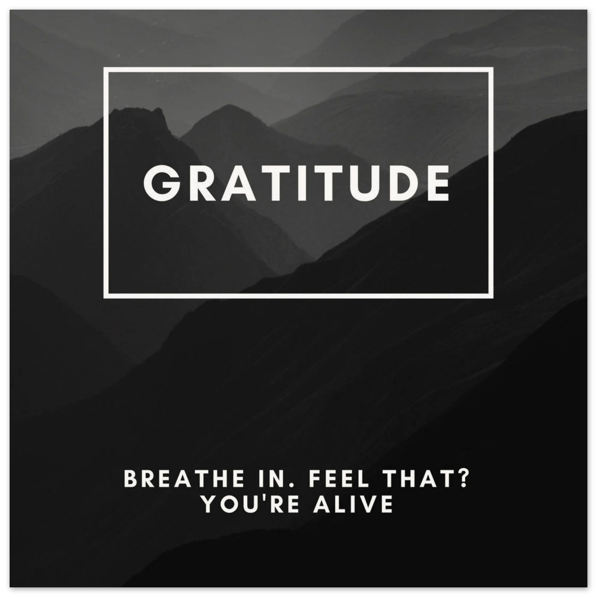 8e380105-5dbf-4074-8be2-0362ca783796