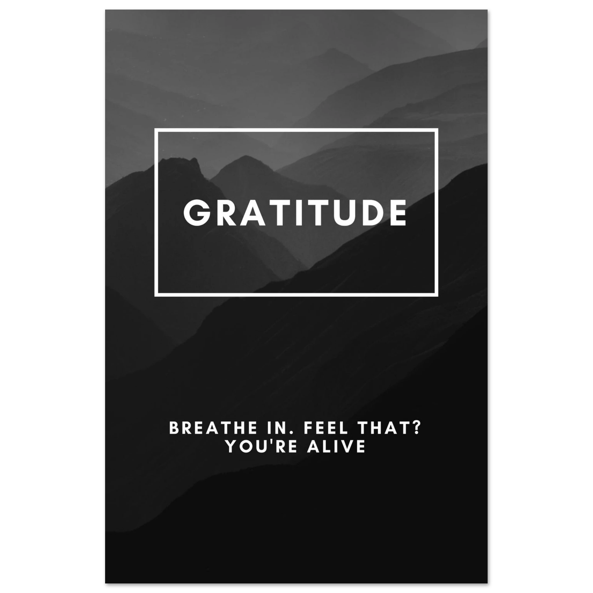 940b02ed-11bf-4b69-ae32-70f19ef25b9a