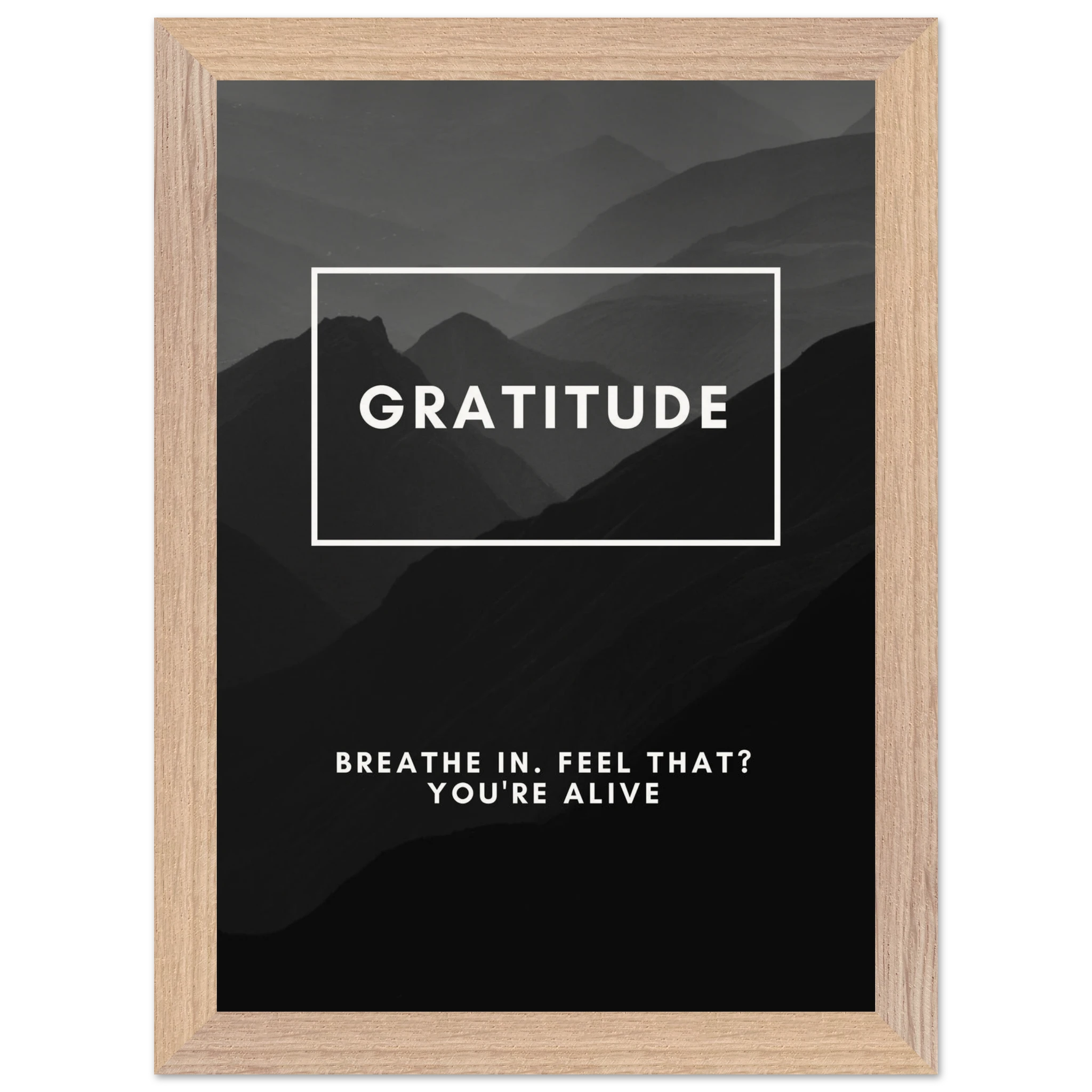 c1cb7ced-3439-40b0-8e5d-4f8be7726c71