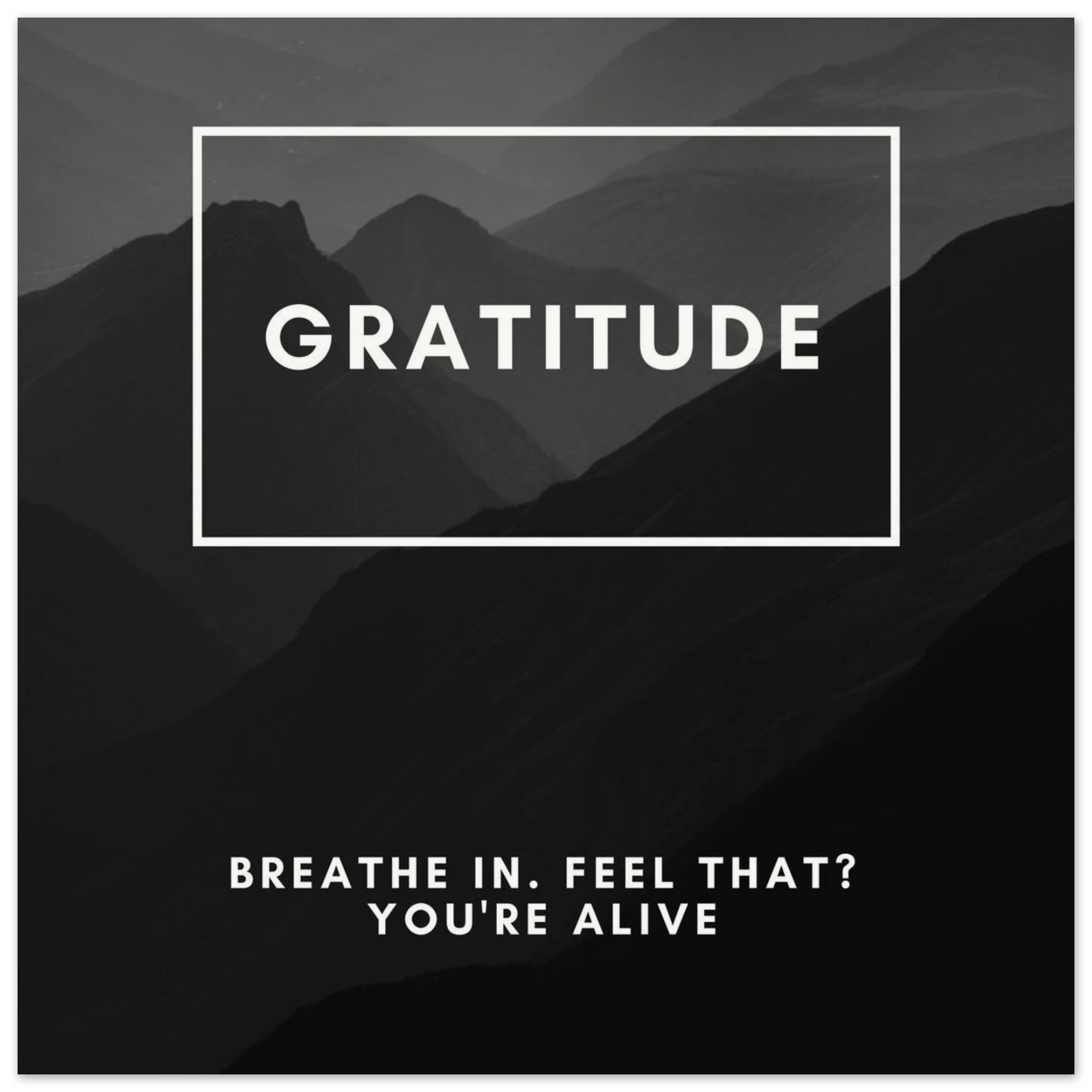 cfe693b9-844a-4a16-956a-463bb49828c4