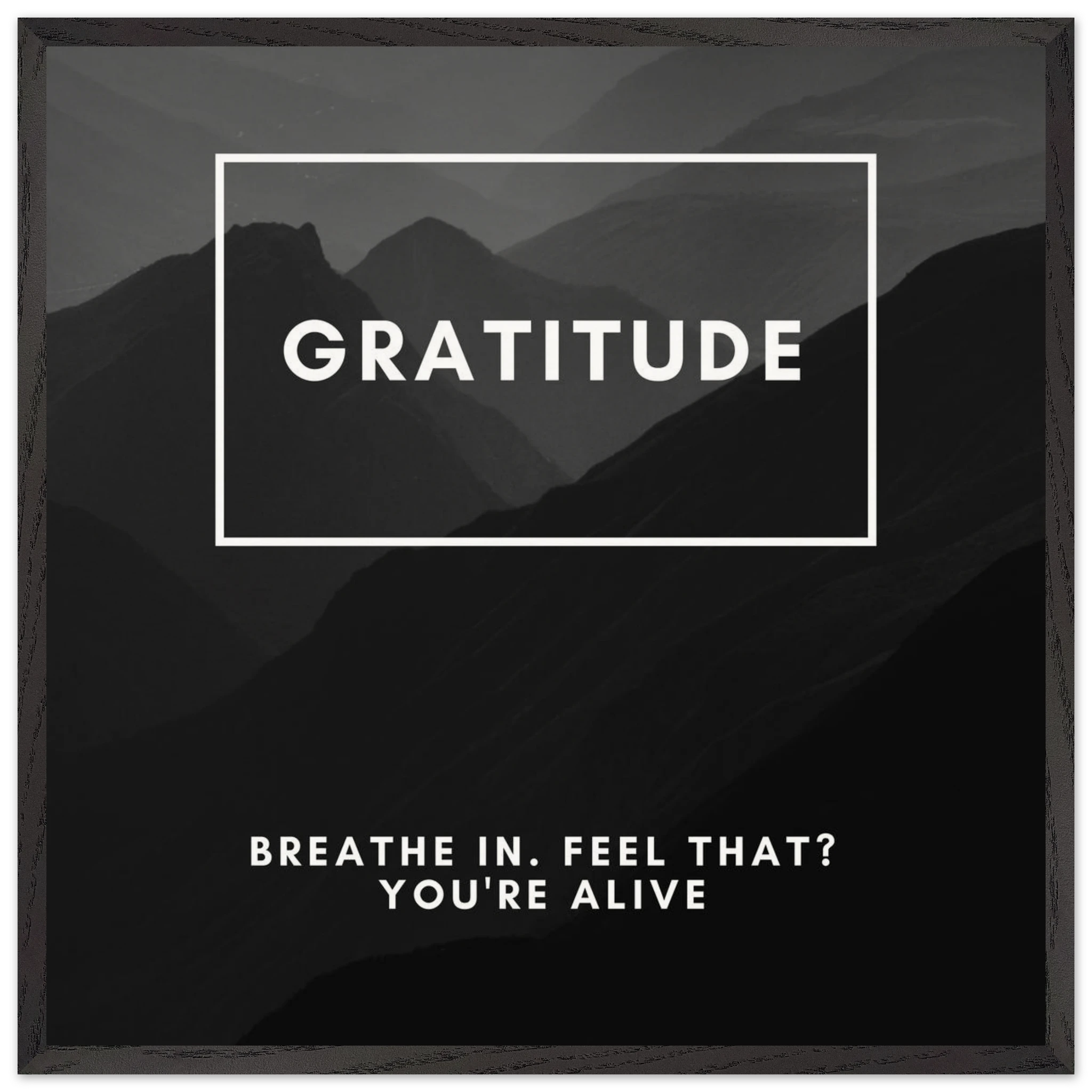 f8f5d999-c1e8-45a5-a8f4-5fdf27b77800