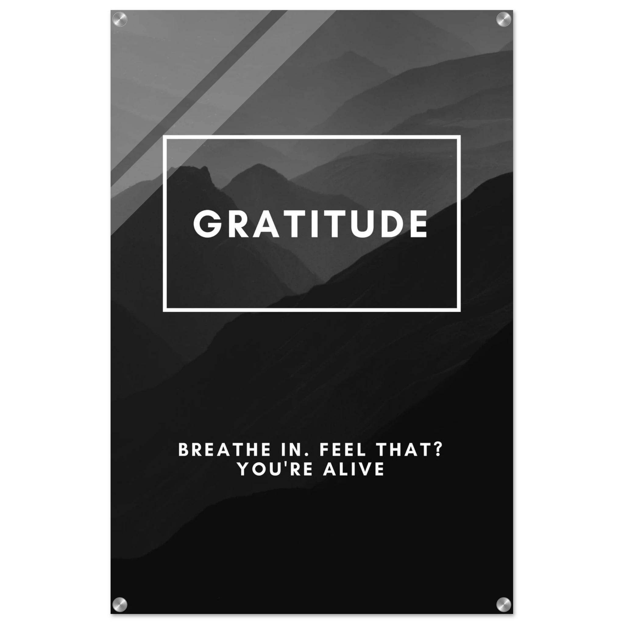 2b9c028b-ac63-4f45-97c2-92277defb648